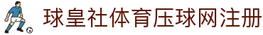 全球赛事即时比分网_热门足球联赛赛果查询与数据追踪